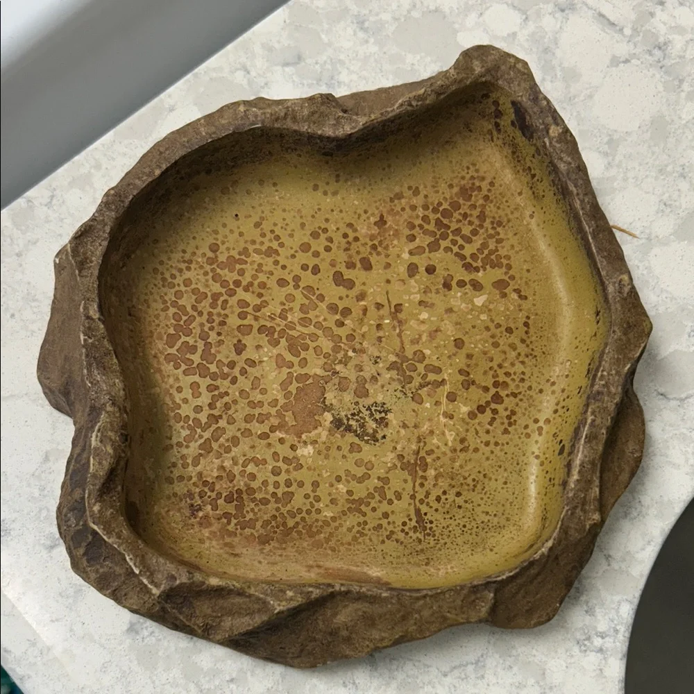 EXO TERRA Large Poly-Resin Granite Rock Pet Water Dish for Reptiles